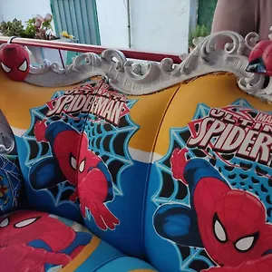  Gasthuis Spiderman House
